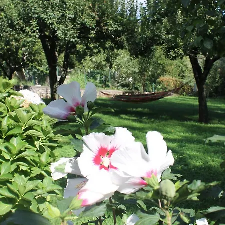 Casa Marili Daire Pianillo