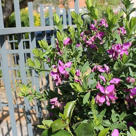 Apartament Casa Marili *